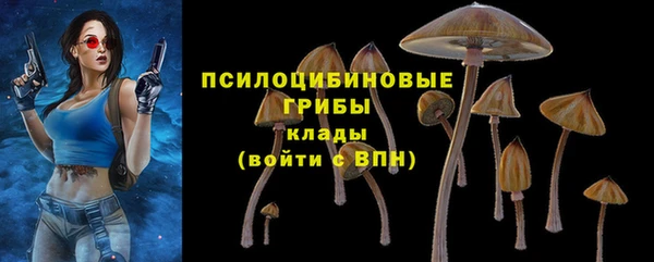spice Медногорск