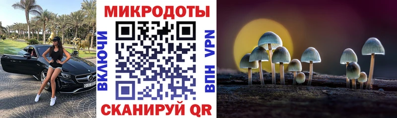 Псилоцибиновые грибы ЛСД  Нестеровская 