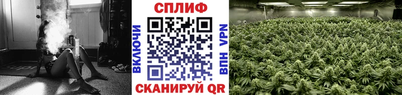 наркотики Нестеровская Бошки марихуана тримм
